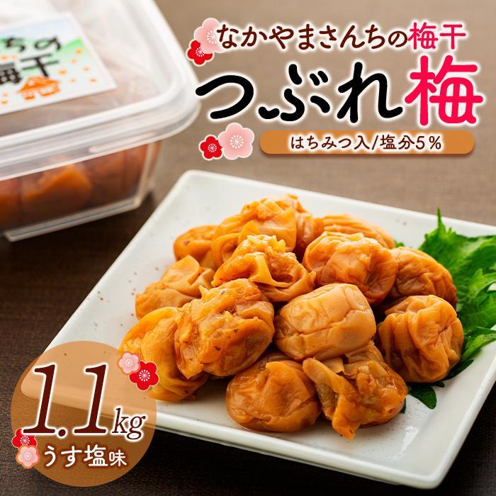 【ふるさと納税】なかやまさんちの梅干（1.1kg×1箱）うす塩（はちみつ入）塩分5％【訳あり】【つぶれ梅】 | 梅ぼし うめぼし うめ干し うめ 南高梅 蜂蜜 ご飯 ごはん おにぎり 国産 お取り寄せ 人気 おすすめ 美味しい 和歌山県 高野町 なかやまさんち
