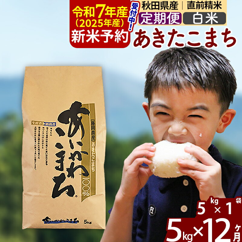 【ふるさと納税】※令和7年産 新米予約※《定期便12ヶ月》秋田県産 あきたこまち 5kg【白米】(5kg小分け袋) 2025年産 お届け周期調整可能 隔月に調整OK お米 藤岡農産