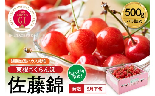 【2027年産 先行予約】先取り！短期加温ハウス栽培 GI 「東根さくらんぼ」佐藤錦 500gバラ詰め 山形県 東根市 hi001-038-r9 フルーツ JA 農協 人気 さくらんぼ 佐藤錦 バラ 贈答 ギフト 化粧箱 産地直送 冷蔵 先行