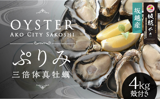【数量限定】年中おいしい！生食用真牡蠣『ぷりみ』4kg(ナイフ付き) 4kg カキ マガキ かき 殻付き 赤穂 養殖 夏も食べられる