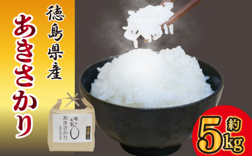 お米 あきさかり 5kg 令和8年産 米 こめ ご飯 ごはん おにぎり 白米 食品 ギフト 贈答 プレゼント お取り寄せ グルメ 送料無料 徳島県 阿波市