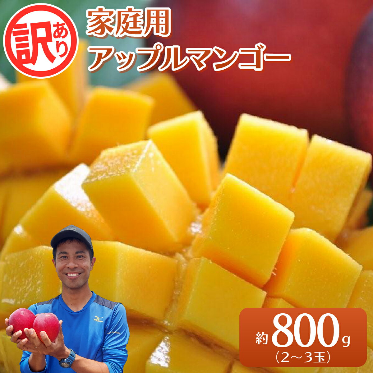 【ふるさと納税】2026年 訳あり／家庭用　アップルマンゴー 約800g