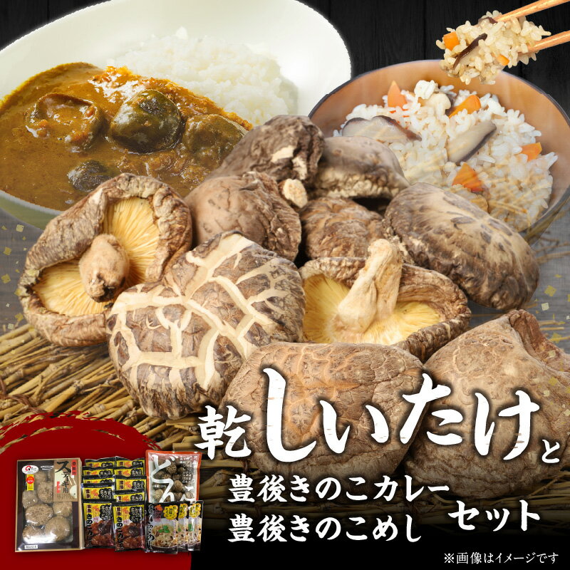 【ふるさと納税】大分産乾しいたけと豊後きのこカレーと豊後きのこめし 詰め合わせ 大分名物 特産品 キノコ どんこ こうこ シイタケ 加工品 レトルトカレー レトルト食品 かしわ飯 炊き込みご飯 ごはんの素 肉詰め おにぎり ギフト おうち時間 セット 常温 F07027