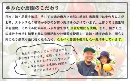 【先行予約】 有機減農薬 フルーツトマト 2kg 薄皮完熟 【2026年10月上旬以降順次発送予定】 【とまと ミディトマト 中玉トマト 野菜 やさい 新鮮 生食 アレンジ ジャム トマトソース サラ