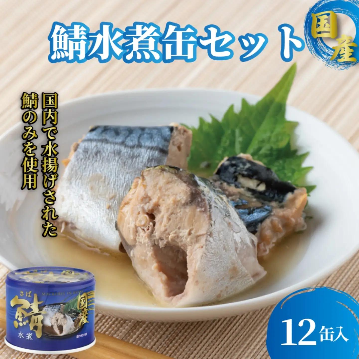 缶詰 さば水煮 190g×12個 防災 長期保存 非常食 缶詰