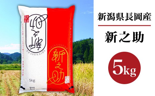 
            B7-SK051新潟県長岡産新之助5kg
          