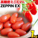 【ふるさと納税】ZEPPIN EX(エクセレント)1kg　平均糖度12度　甘い　フルーツトマト《90日以内に出荷予定(土日祝除く)》