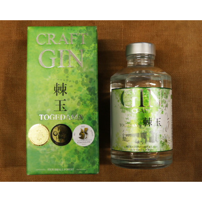 Japanese Craft GIN 棘玉 −TOGEDAMA− 200ml2本セット【1242423】