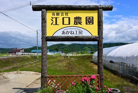 江口農園　果実ぎっしりジャム　3本セットB