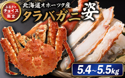 
            《チョイス限定》北海道オホーツク産 冷タラバガニ姿　5.4～5.5kg | オンライン申請 ふるさと納税 北海道 雄武 北海道産タラバガニ タラバ カニ かに 蟹 冷凍 海産 海産物 ギフト 贈り物 お取り寄せ ワンストップ マイページ 雄武町【12409】
          