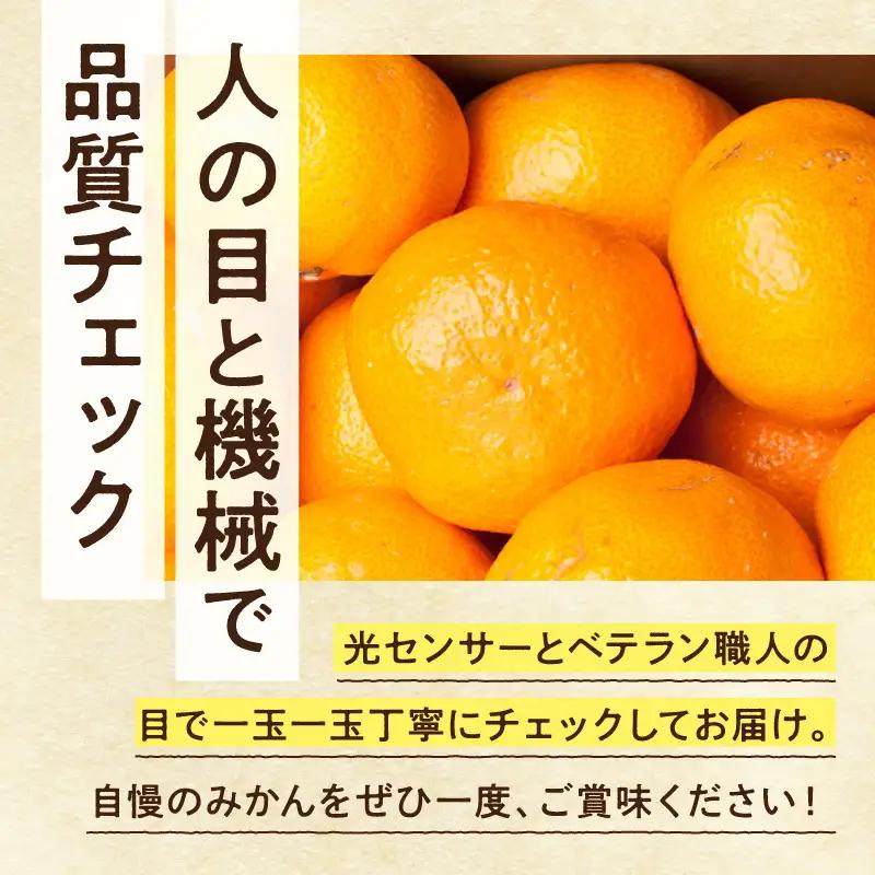 【2026年先行予約】家庭用 大きな有田みかん約5kg+250g（傷み補償分）【わけあり・訳あり】【光センサー選果】_ZH7117