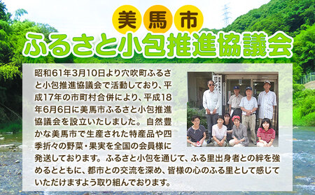 【計2回定期便】ふるさと小包詰め合わせ 年2回 7月・12月便 美馬市ふるさと小包推進協議会《年2回定期便：7月出荷、12月出荷》