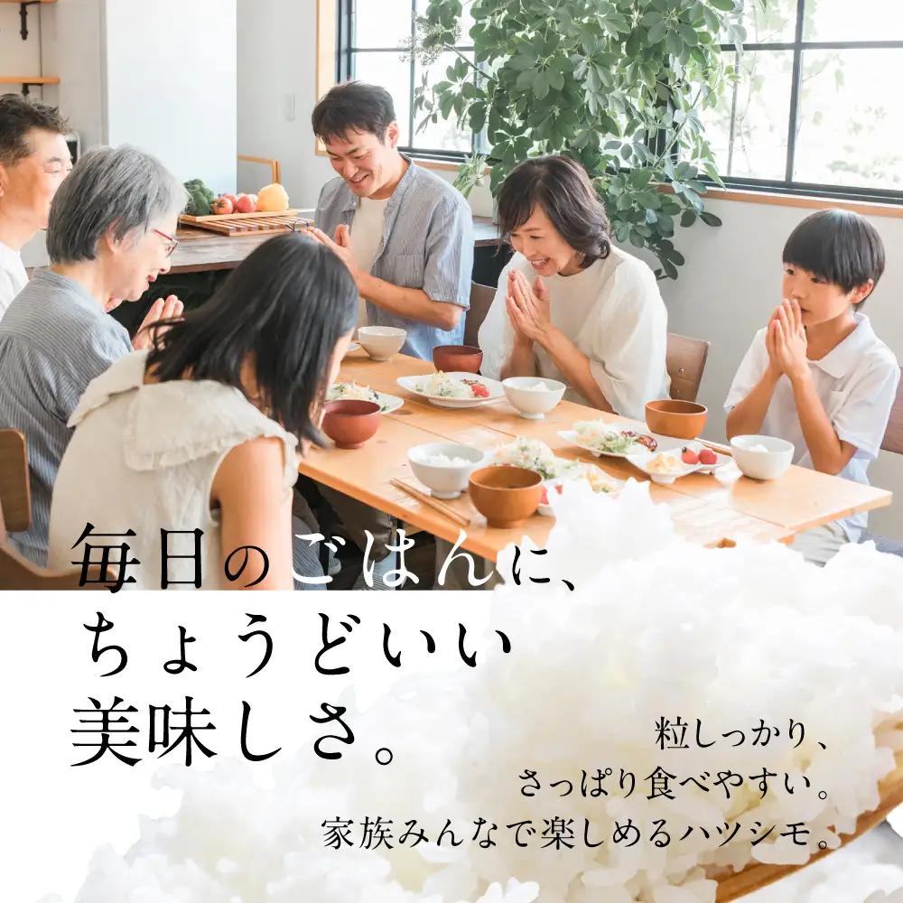 ≪令和7年度産≫ プロが厳選 玄米 ハツシモ 5kg｜玄米