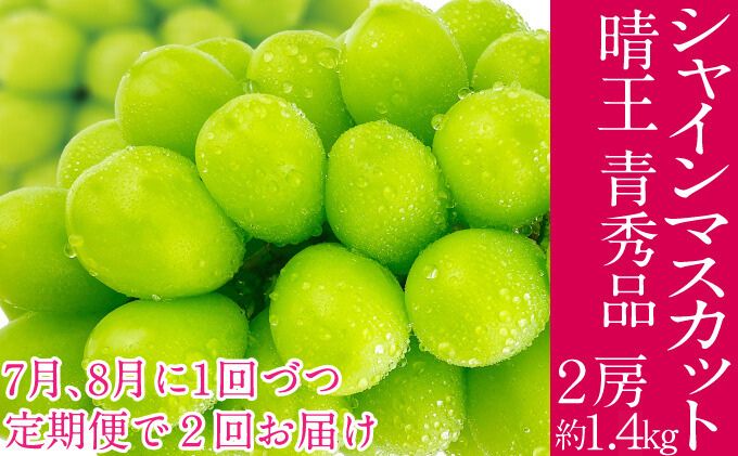 2026年予約受付中 シャインマスカット 晴王 7月8月に1回づつ出荷 2回　定期便 2房 約1.4kg  人気 岡山県産 種無し 皮ごと食べる みずみずしい  フレッシュ 晴れの国 おかやま 果物大国 ハレノフルーツ