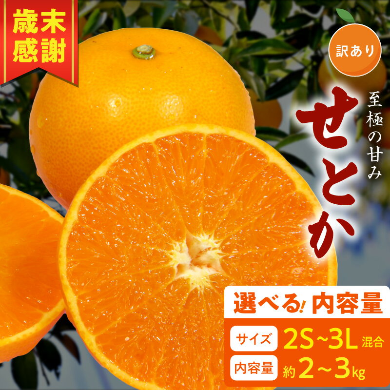 【ふるさと納税】【限定】 【2026年先行予約】 訳あり せとか 2S～3L 選べる 内容量 約2kg 約3kg サイズ混合 ブランド 有田産 味 深み 濃厚 果汁 国産 果物 フルーツ 果実 食品 食べ物 おやつ デザート お取り寄せ お取り寄せフルーツ 和歌山県 湯浅町 送料無料