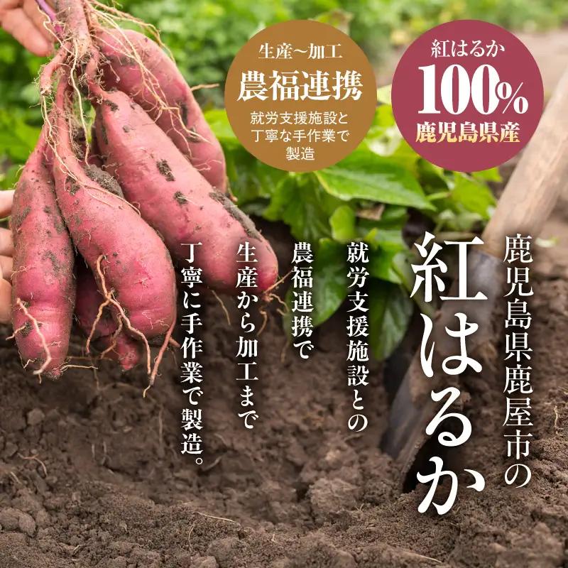 2844 かのや 紅はるか ペースト （ さつま芋 ） 500g KN109-001-01 菓子