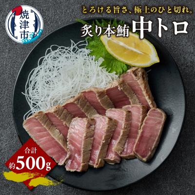 ふるさと納税 焼津市 炙り 本鮪 中トロ 約500g(a15-678)