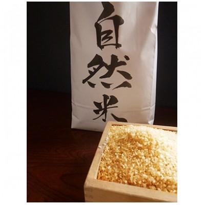 ふるさと納税 香取市 自然米(玄米5kg)