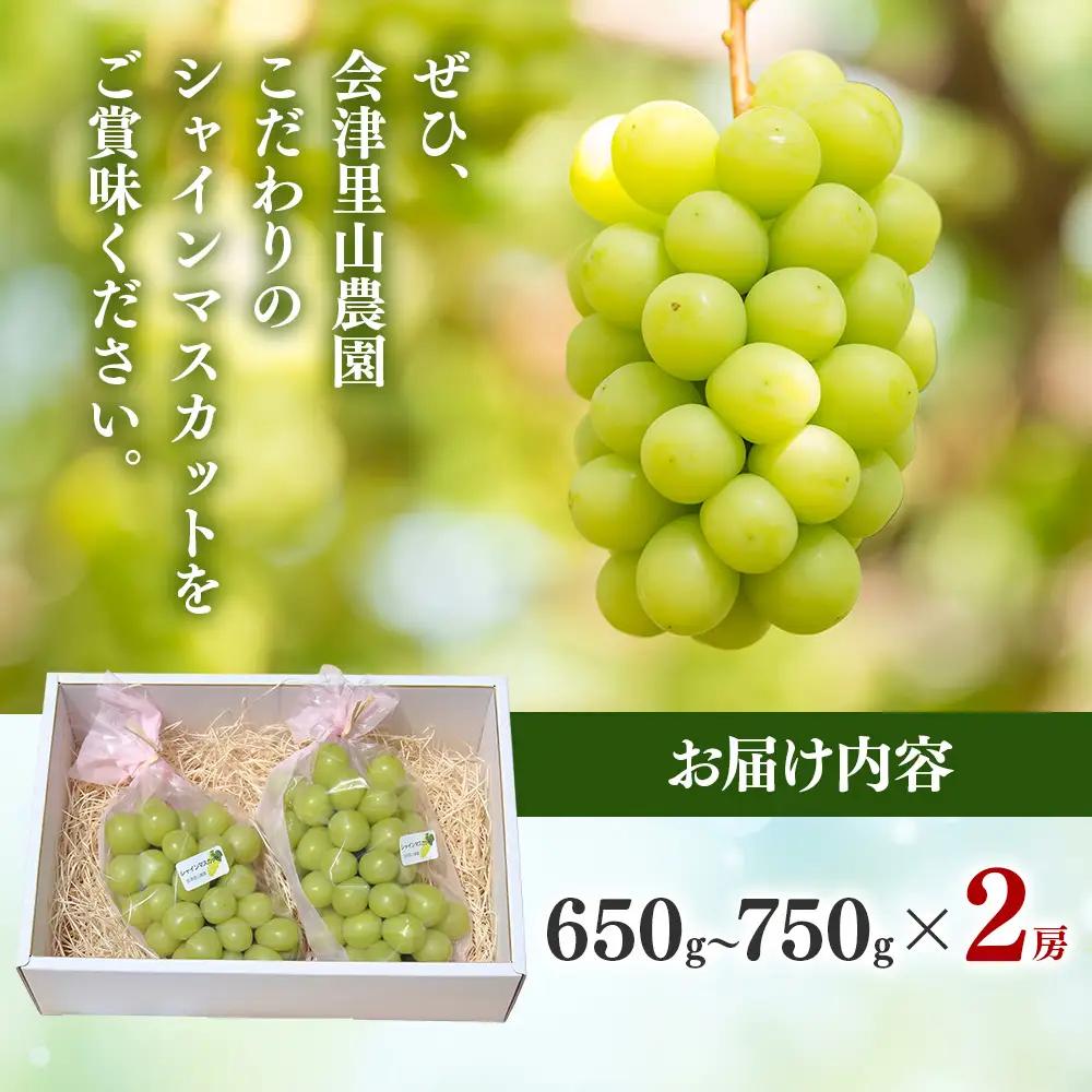 47-B【予約開始】完熟シャインマスカット 650～750g 2房 （会津里山農園）※2026年10月～発送