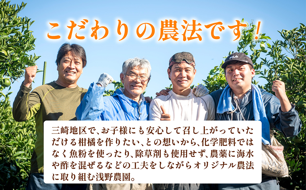 【先行予約】【訳あり】浅野農園の不知火 計5kg ※離島への配送不可（2026年2月上旬頃より順次発送予定） IKTAC033
