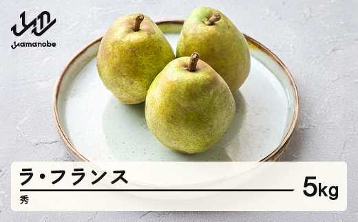 【先行予約】ラ・フランス 秀品 約5kg 洋梨 ラフランス 令和8年産 2026年産 果物 mm-lasxx5
