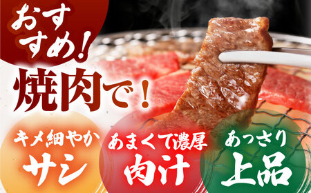 佐賀牛 上ロース（焼肉用）500g HCS094 和牛 上ロース BBQ