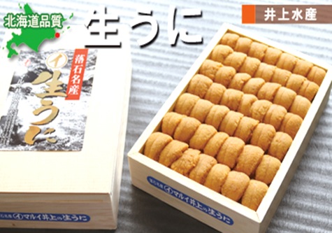 ムラサキウニ並べ詰め150g×2折 F-71009