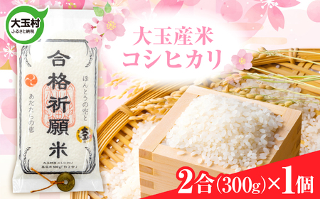 合格祈願米 コシヒカリ 真空米 2合 ( 300g ) × 1個 【令和7年産】 受験 御利益 ご祈祷 合格 合格祈願 小分け 使い切り 5000円 ５０００円以下 福島県 大玉村