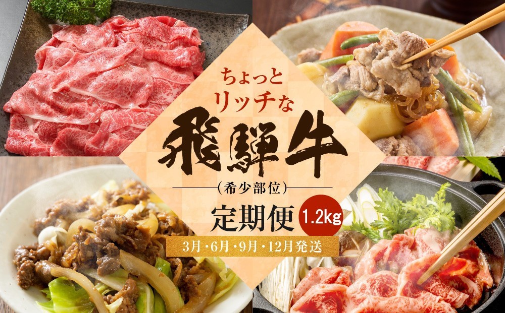 
            ちょっとリッチな飛騨牛（希少部位）約1.2kg 【3月・6月・9月・12月発送】定期便 4回 | みすじ ウデ すき焼き しゃぶしゃぶ  希少部位 300g 和牛 国産牛 冷凍 飛騨高山 飛騨牛のこもり FC110
          