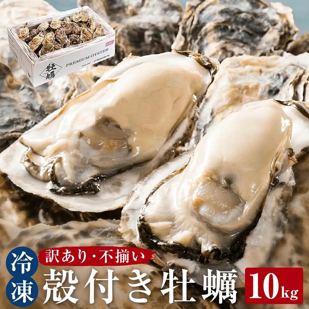 訳あり 冷凍 殻付き牡蠣 10kg 加熱用 三陸産 牡蠣