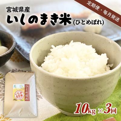 ふるさと納税 石巻市 米 定期便 【定期便3回・毎月発送】宮城県いしのまき産米「ひとめぼれ」10kg×3回(精米) お米