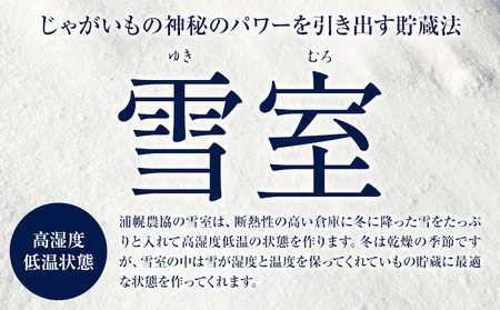 雪室じゃがいも10kg（男爵） 浦幌町農業協同組合 《3月上旬以降出荷》北海道 浦幌町 じゃがいも ジャガイモ 男爵 じゃがバター フライドポテト コロッケ いも 芋 男爵芋 st-p