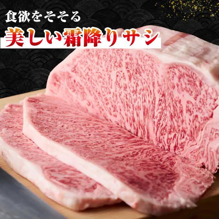 【全12回定期便】【A4～A5ランク】長崎和牛 サーロインブロック　約1kg《壱岐市》【株式会社MEAT PLUS】 肉 牛肉 黒毛和牛 サーロイン ステーキ ブロック ご褒美 ギフト 贈答用 ご褒美