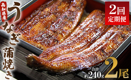 【2回定期便】うなぎ蒲焼き120g 2尾(無頭) 【 うなぎ 定期便 国産 うなぎ 定期便 かばやき うなぎ 定期便 】 Wun-0023