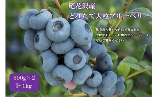 500gパック×2　お届けいたします。