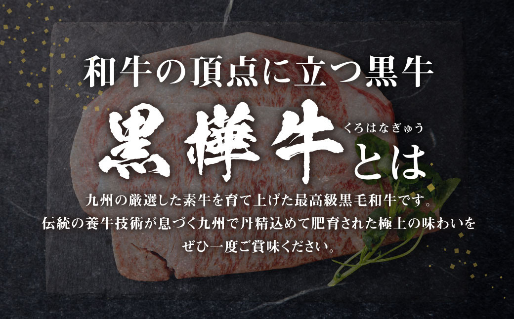 九州産黒毛和牛 杉本本店 黒樺牛 A4~A5等級 ロースステーキ 200g×2 計400g