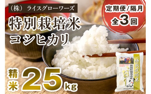 【令和8年産新米先行予約】【定期便3回隔月お届け】新潟県加茂市産 特別栽培米 コシヒカリ 精米 25kg（5kg×5）《10月上旬～順次出荷》 従来品種コシヒカリ 新潟県産コシヒカリ 新潟産コシヒカリ 新潟コシヒカリ 新潟県産こしひかり 新潟産こしひかり 新潟こしひかり コシヒカリ こしひかり お米 白米 米 定期便 （株）ライスグローワーズ
