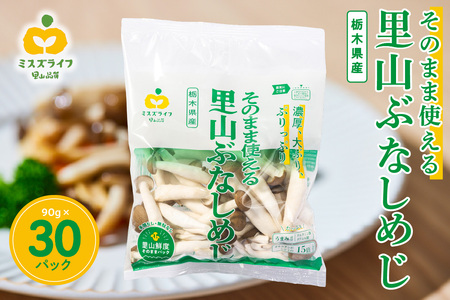 そのまま使える里山ぶなしめじ（栃木県那須工場産） ns086-001 きのこ 野菜 食品 濃厚 弾力 ｼﾒｼﾞ