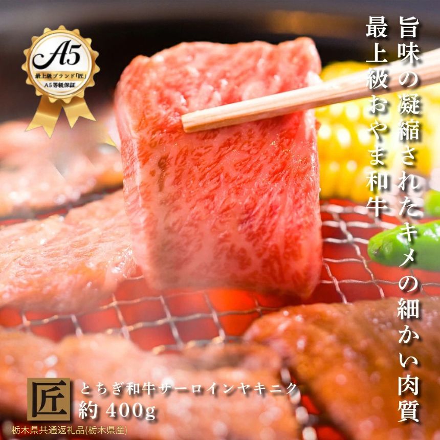 【ふるさと納税】とちぎ和牛 A5サーロイン 焼肉用 約400g｜ 国産 和牛 牛 肉 生産者 認定 銘柄 A5 旨味 うまみ きめ細かい サシ 霜降り とろける 品質 柔らかく 美味しい おいしい 芸術品 特産品 栃木県 真岡市 送料無料 栃木県共通返礼品（栃木県産）