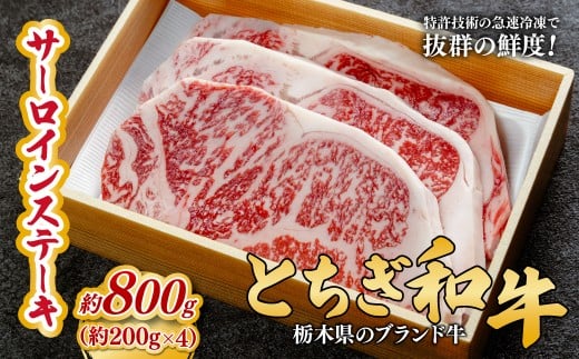 とちぎ和牛の厚切りサーロインステーキ 800ｇ(200ｇ×4枚)【栃木県共通返礼品】 | 牛肉 肉 お肉 厚切り サーロイン ステーキ 柔らかい 産地直送 国産 国産牛 和牛 赤身 霜降り 希少 旨味 旨み 熟成 急速冷凍 テクニカン テクニカン社 スキンパック 真空パック 真空包装 コトラミートカルチャ 栃木県 茂木町