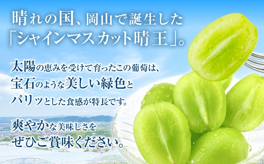 岡山県産 シャインマスカット 晴王 2房 約1.3kg