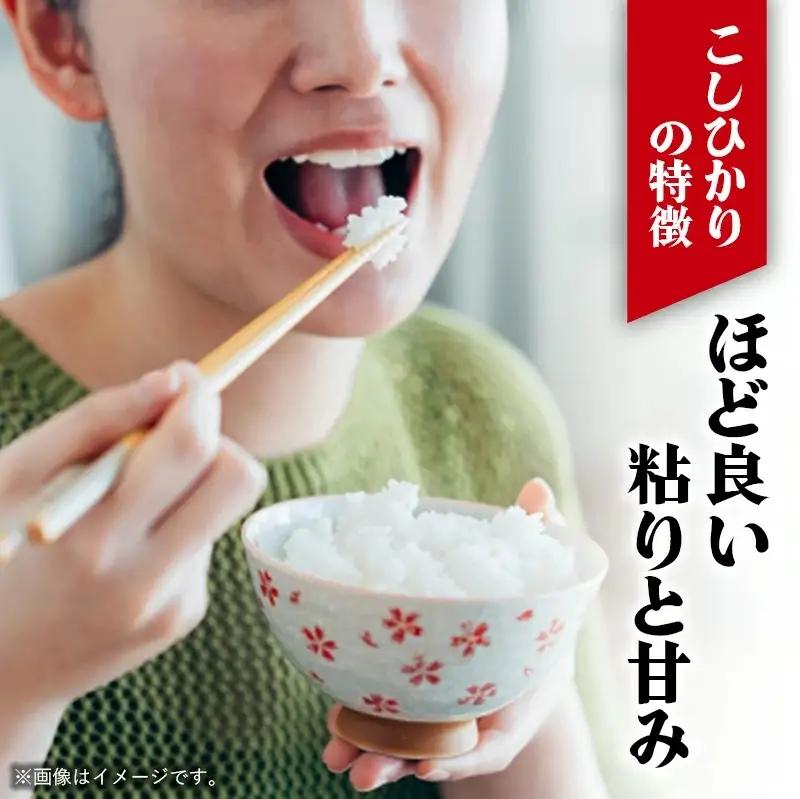 令和7年幸手産 こしひかり【精米】5㎏×2袋 - コシヒカリ 精米 10kg 令和7年産 埼玉県 幸手市 幸手市産
