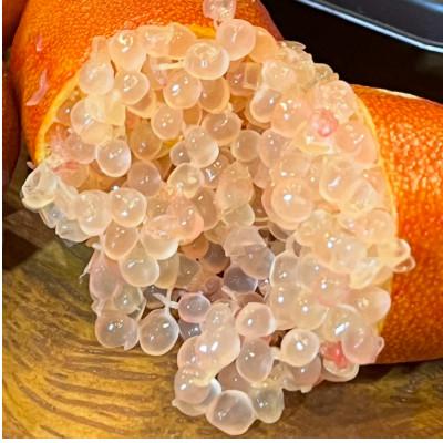 ふるさと納税 海津市 フィンガーライム果実