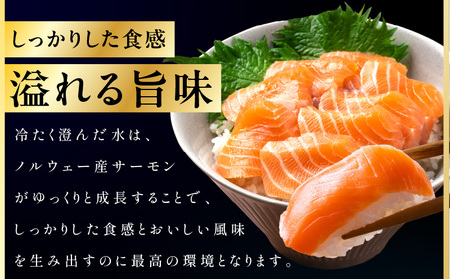 【定期便】ノルウェー産 プレミアム アトランティックサーモン 1kg 【2026年2月＆5月発送】