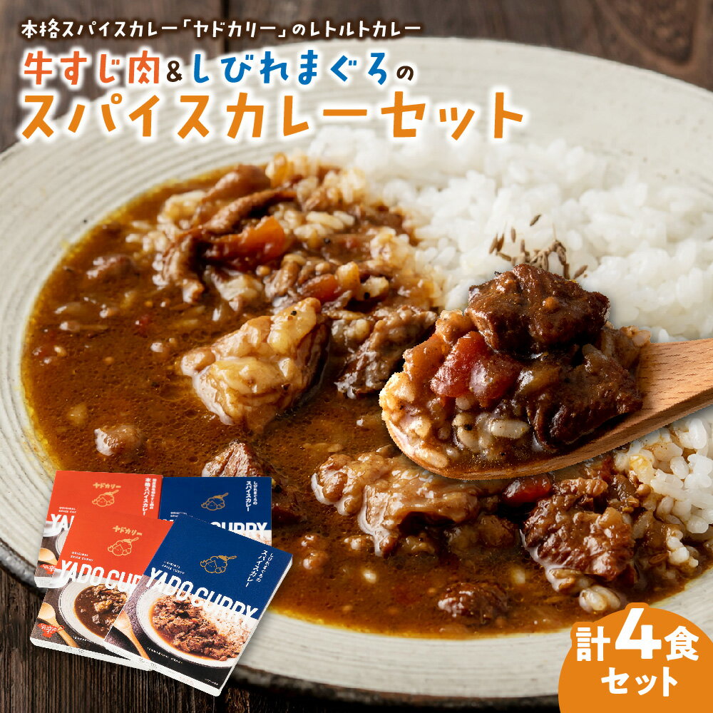 【ふるさと納税】ヤドカリー レトルトカレー 国産黒毛和牛すじ しびれマグロ 計4食 スパイスカレー 食べログ百名店 大阪 牛すじ肉 まぐろすじ身 山椒 生姜 赤ワイン 送料無料 大阪市