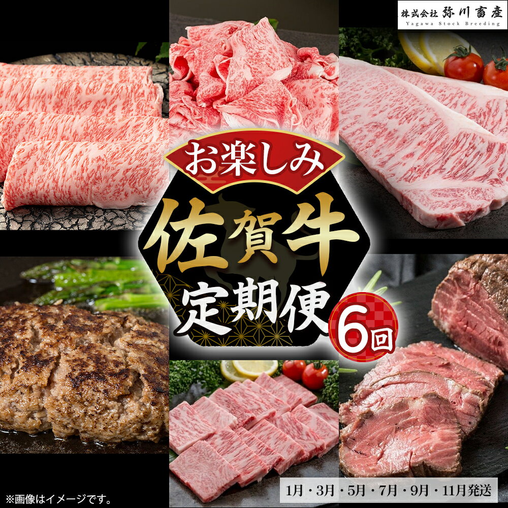 【ふるさと納税】T3 佐賀牛 お楽しみ便 6回コース 定期便 絶品と評判のハンバーグ付き！ 6回 しゃぶしゃぶ すき焼き 切落し ロースステーキ ハンバーグ 焼肉 ローストビーフ ロース 国産牛 和牛 ブランド牛 牛肉 肉 高級 人気 おすすめ 佐賀県 太良町