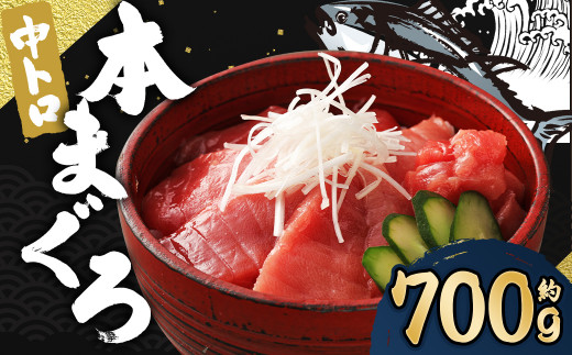 長崎県産 本マグロ「中トロ」約700g まぐろ マグロ 鮪 本鮪 本まぐろ 柵 さく ブロック 刺身 さしみ 刺し身 国産まぐろ【大村湾漁業協同組合】