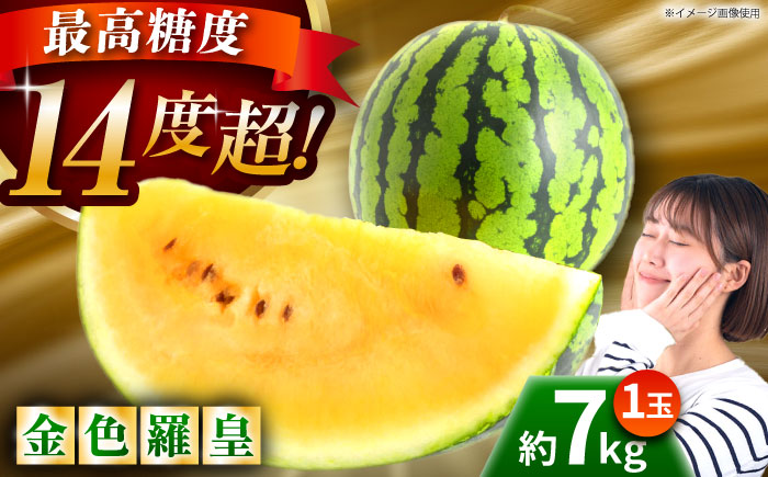 【先行予約】【数量限定】金色羅皇 スイカ 2L以上 1玉 約7kg 【日本フルーツ株式会社】 [ZFJ008]