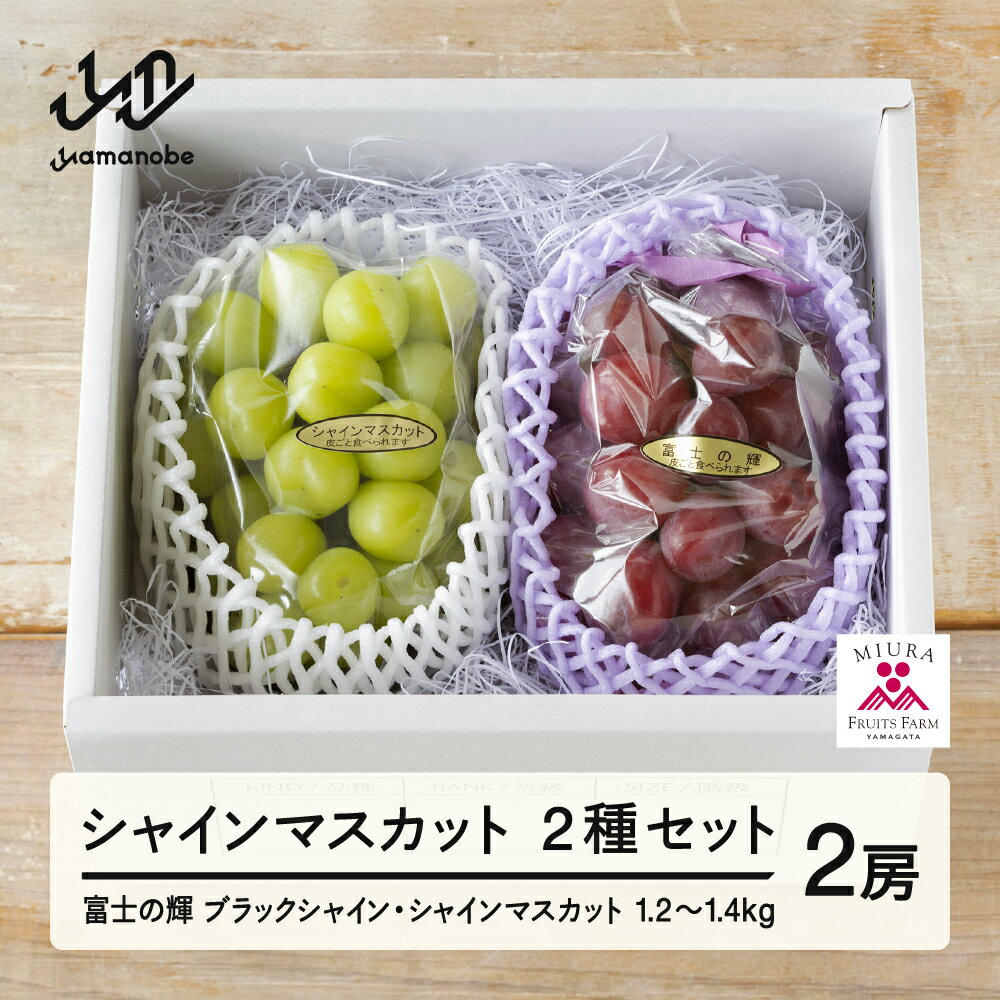 【ふるさと納税】先行予約 ぶどう 富士の輝 約650g シャインマスカット 約600g セット 令和7年産 2025年産 山形県山辺町産 ブラックシャインマスカット フルーツ 果物 bg-bufsx1250