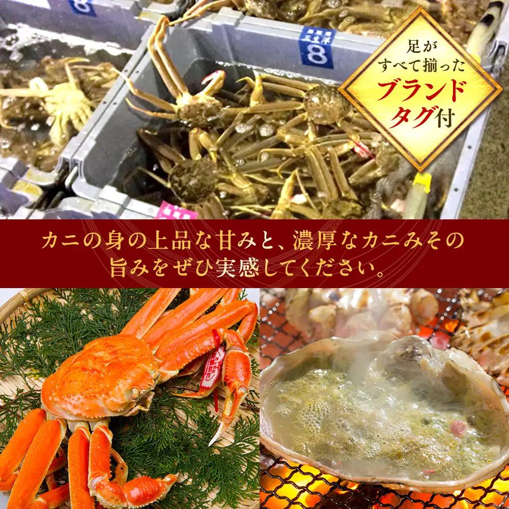 【活】タグ付き 松葉ガニ 大1枚（800g前後） | 松葉 カニ 訳あり活 特大 美味しさに 訳あり 不揃い でないたっぷり【着日指定不可】※2026年11月上旬～2027年3月下旬頃に順次発送予定
